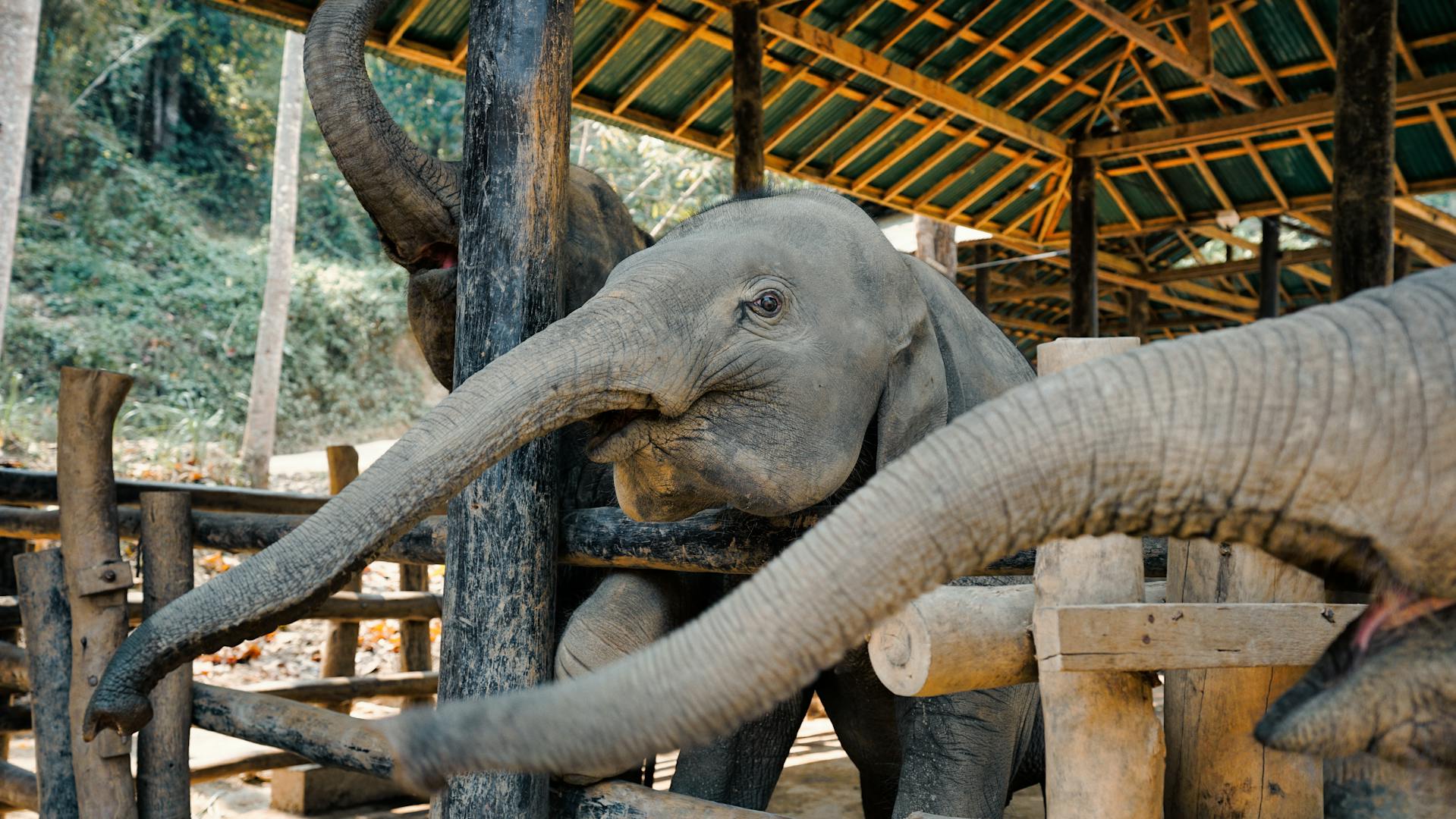 Thailand Highlights 10-Day Package